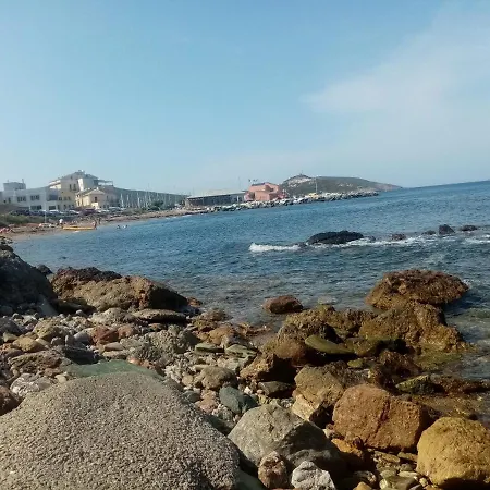 D'olivo * Rogliano