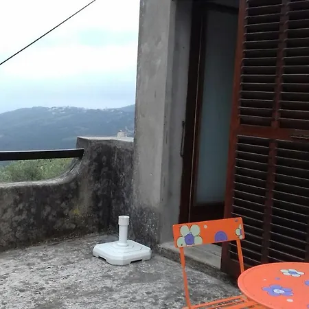 D'olivo * Rogliano